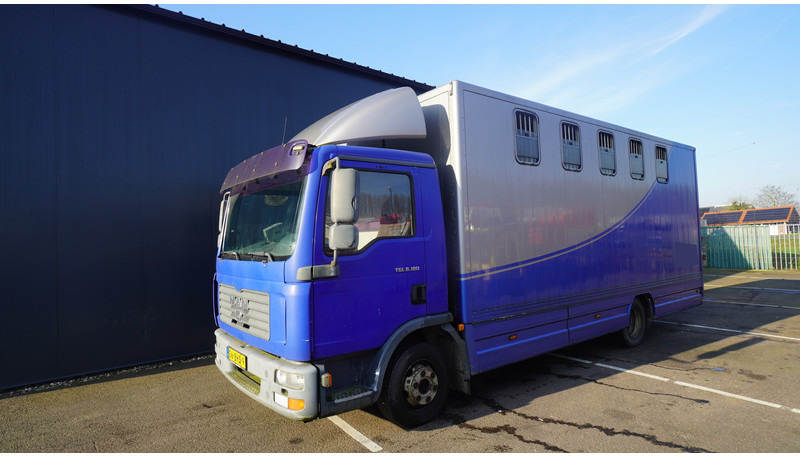 MAN TGL 8.180 HORSE TRANPORT 515.000KM - Xe tải chở ngựa: hình 3 MAN TGL 8.180 HORSE TRANPORT 515.000KM - Xe tải chở ngựa: hình 3