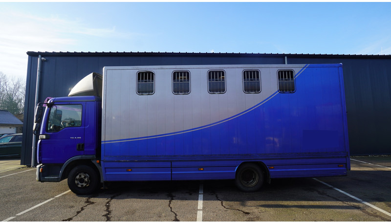MAN TGL 8.180 HORSE TRANPORT 515.000KM - Xe tải chở ngựa: hình 1 MAN TGL 8.180 HORSE TRANPORT 515.000KM - Xe tải chở ngựa: hình 1