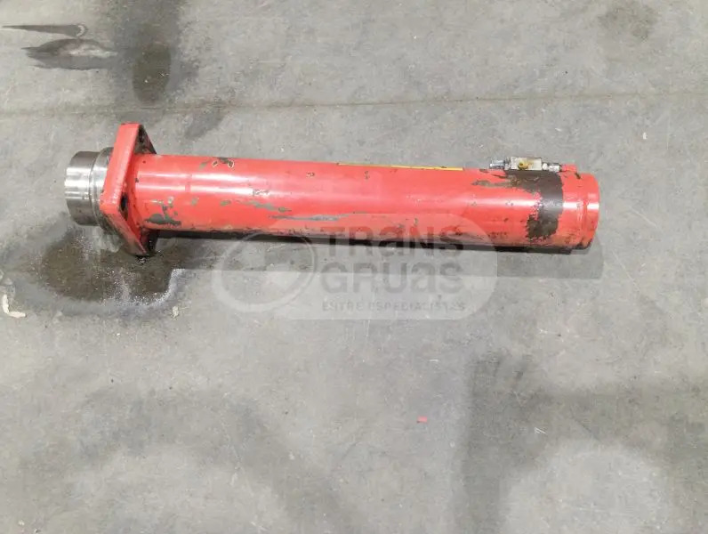 Cần cẩu Grúa F310AXP.28 solo para recambios: hình 9