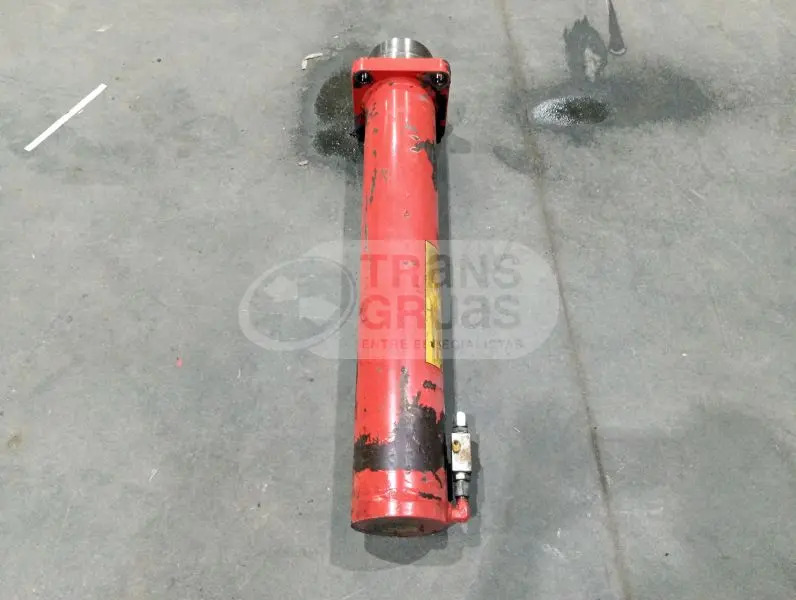 Cần cẩu Grúa F310AXP.28 solo para recambios: hình 10