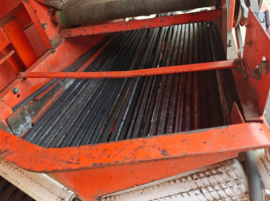 Máy trồng khoai tây Structural 3 rækket: hình 8