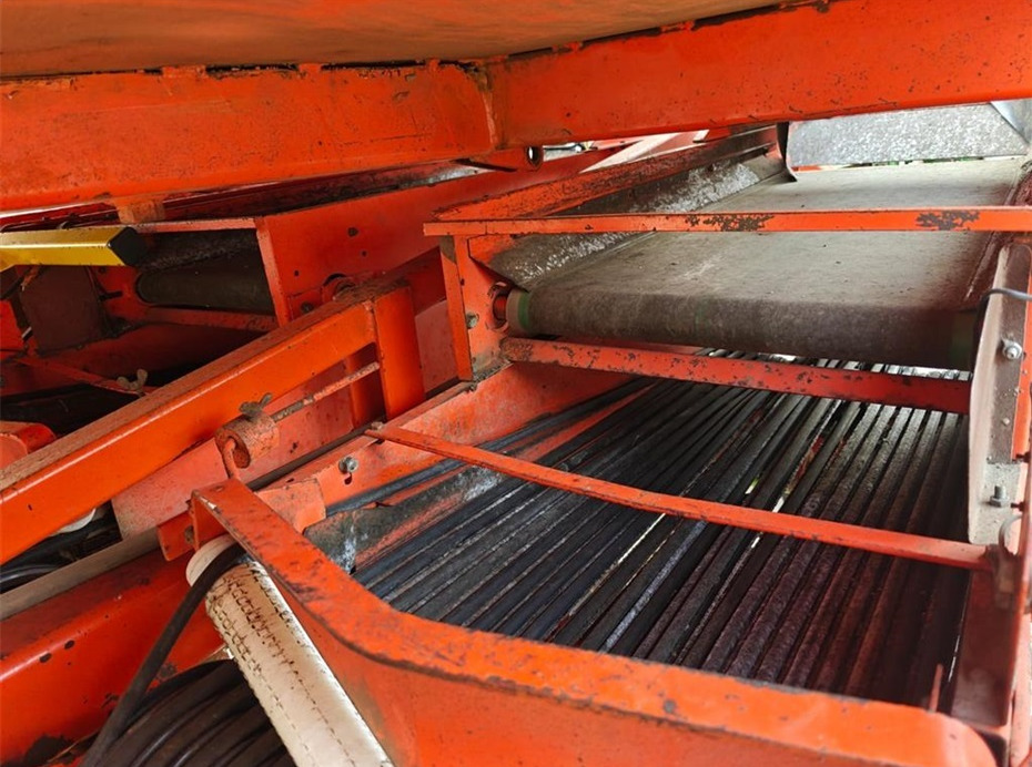 Máy trồng khoai tây Structural 3 rækket: hình 6
