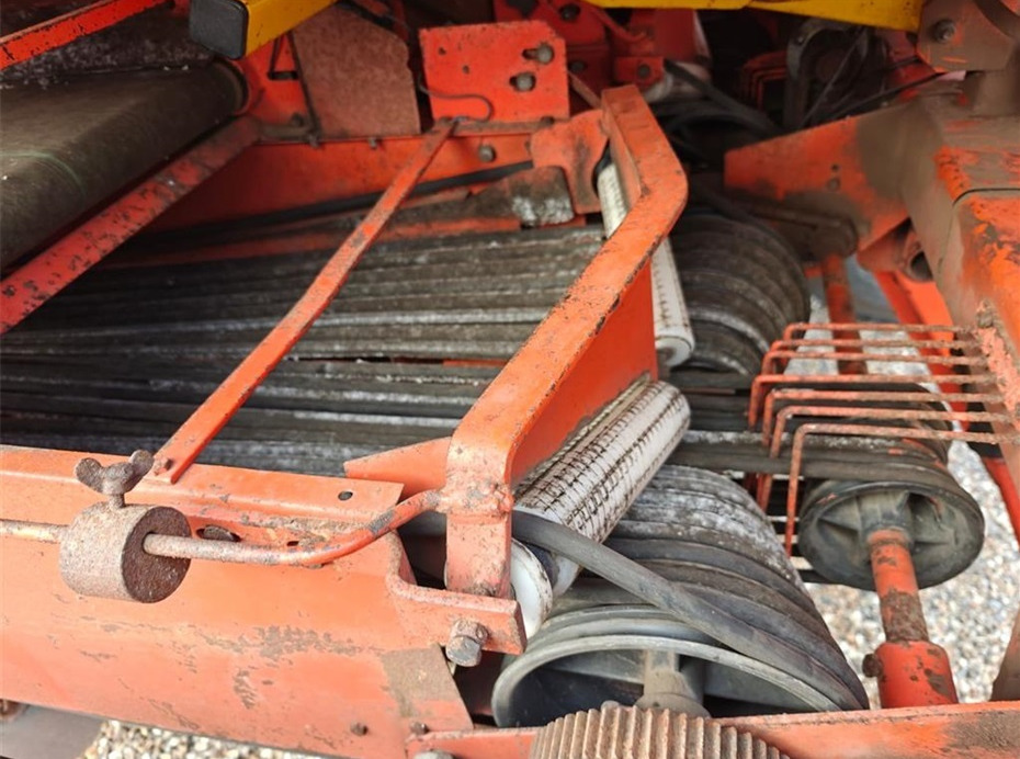 Máy trồng khoai tây Structural 3 rækket: hình 16