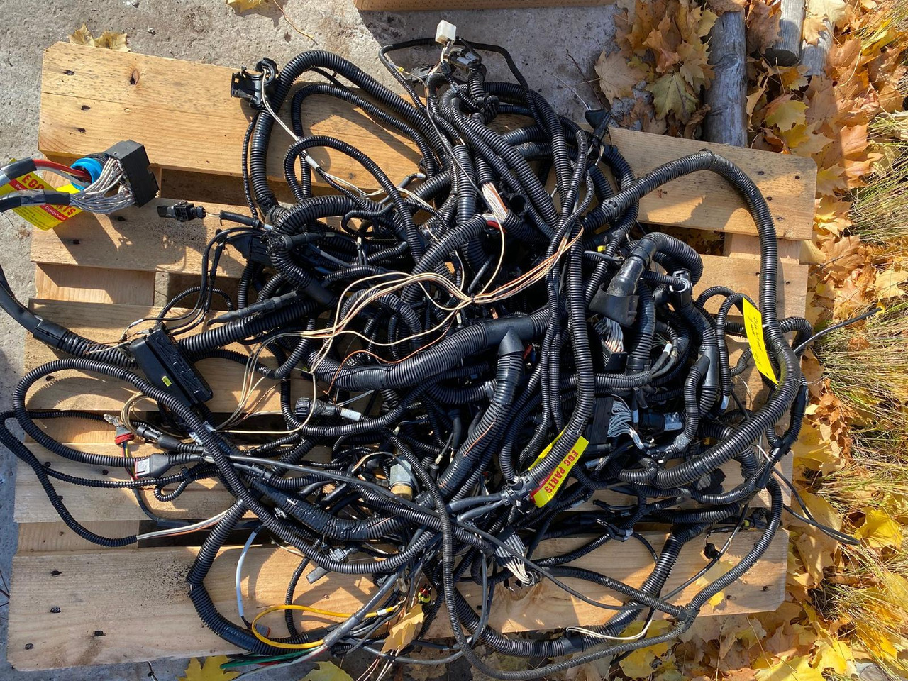 Case WX 165 - Cáp/ Dây nịt cho Máy móc xây dựng: hình 2 Case WX 165 - Cáp/ Dây nịt cho Máy móc xây dựng: hình 2