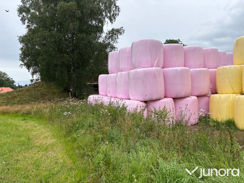 Hösilage - Trang thiết bị gia súc: hình 5 Hösilage - Trang thiết bị gia súc: hình 5