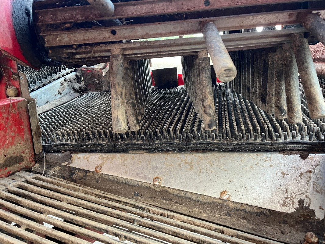 Máy gặt Grimme SE 75-55-UB: hình 8