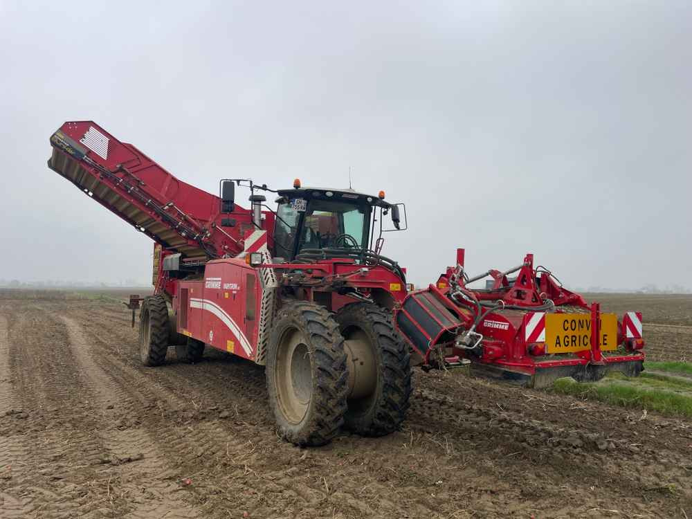 Grimme VARITRON 270 RS VARIO MULTISEP - Máy gặt: hình 3 Grimme VARITRON 270 RS VARIO MULTISEP - Máy gặt: hình 3