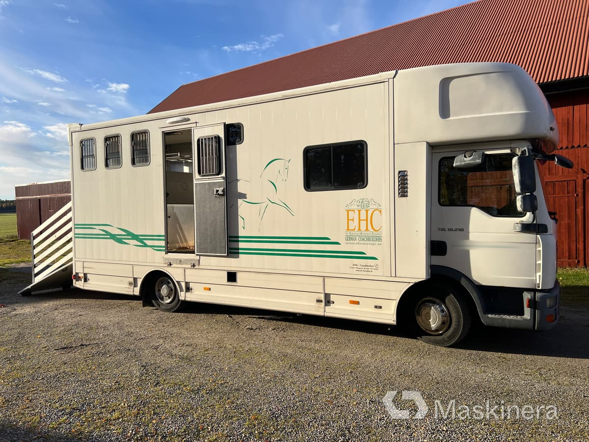 Hästlastbil MAN TGL 10.210 4X2 BL - Xe tải chở ngựa: hình 4 Hästlastbil MAN TGL 10.210 4X2 BL - Xe tải chở ngựa: hình 4