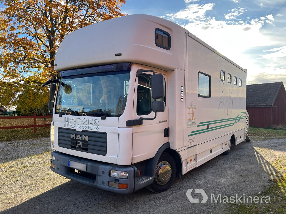 Hästlastbil MAN TGL 10.210 4X2 BL - Xe tải chở ngựa: hình 1 Hästlastbil MAN TGL 10.210 4X2 BL - Xe tải chở ngựa: hình 1