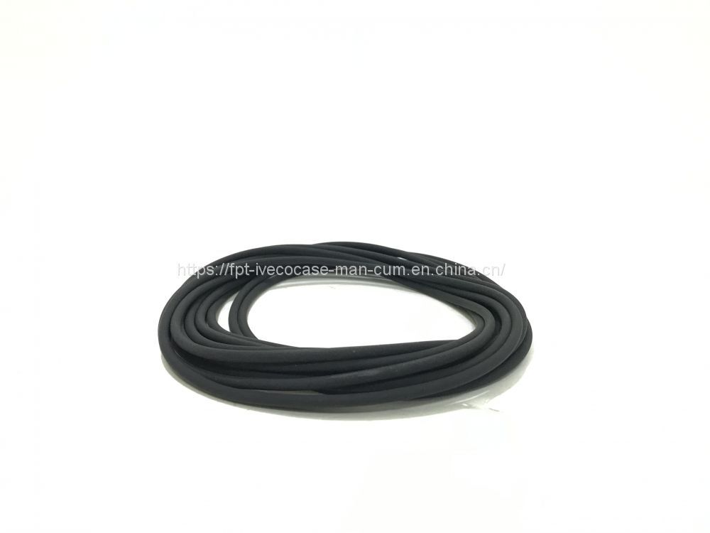 FPT IVECO CASE Cursor11 F3GFE613A B001 5801863562/5801690111 Liner seal ring 504372471 - Pít tông/ Vòng/ Ống lót: hình 2 FPT IVECO CASE Cursor11 F3GFE613A B001 5801863562/5801690111 Liner seal ring 504372471 - Pít tông/ Vòng/ Ống lót: hình 2