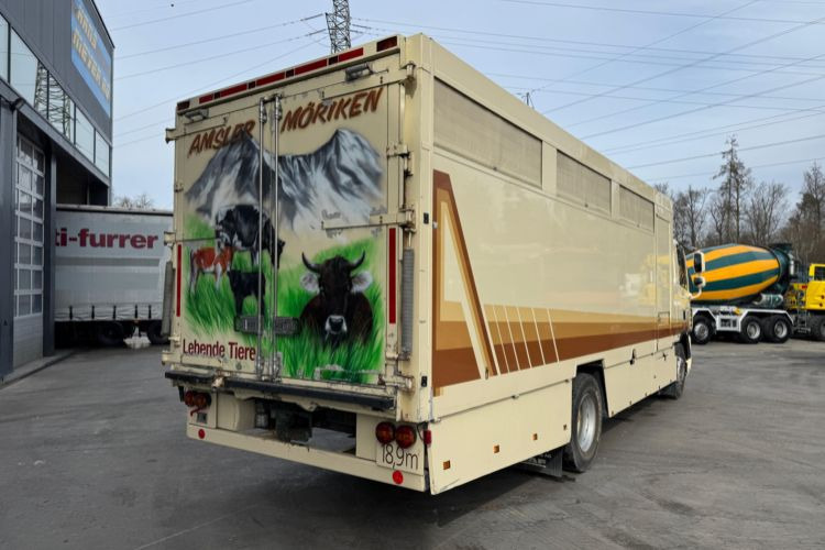 DAF CF410 4x2 - Xe tải chở ngựa: hình 5 DAF CF410 4x2 - Xe tải chở ngựa: hình 5