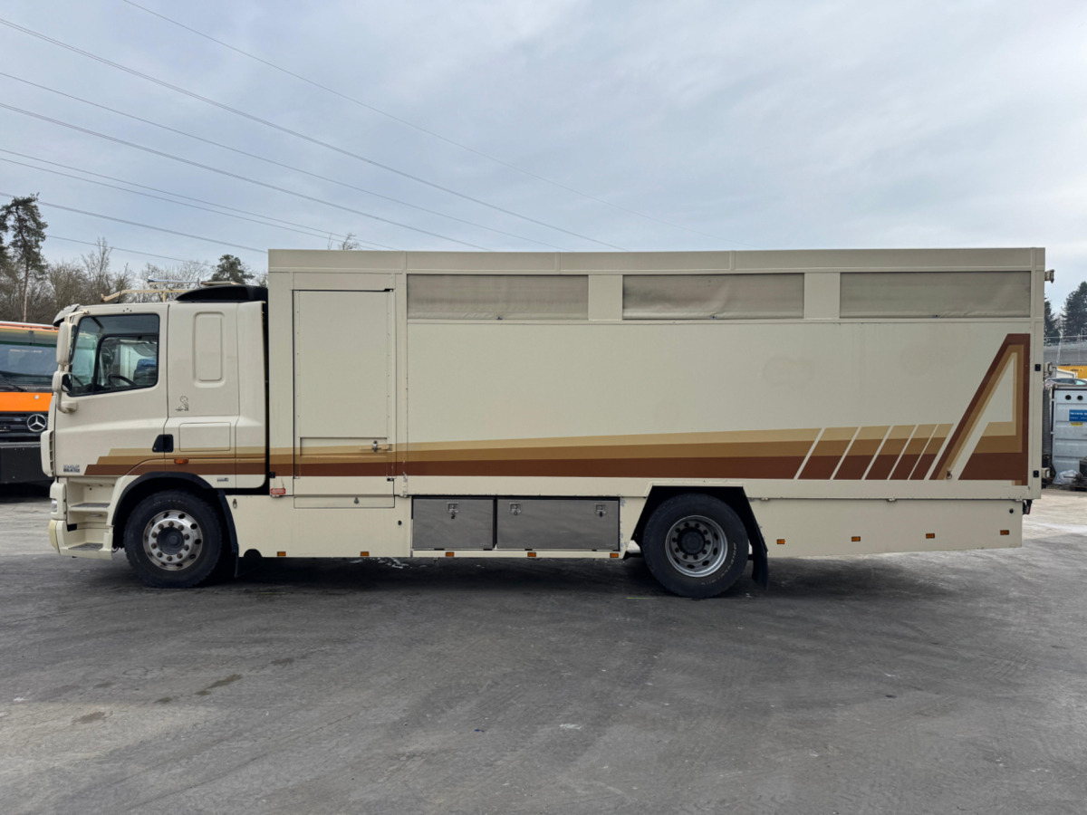 Xe tải chở gia súc DAF CF410 4x2: hình 8