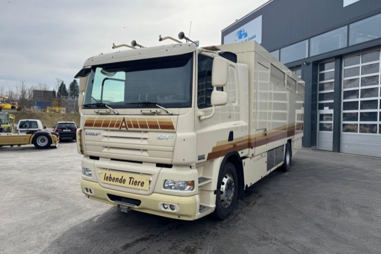 DAF CF410 4x2 - Xe tải chở ngựa: hình 1 DAF CF410 4x2 - Xe tải chở ngựa: hình 1