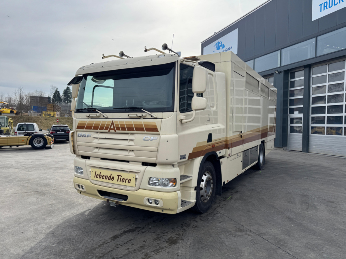 DAF CF410 4x2 - Xe tải chở gia súc: hình 1 DAF CF410 4x2 - Xe tải chở gia súc: hình 1