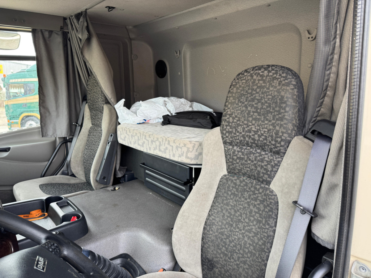 Xe tải chở gia súc DAF CF410 4x2: hình 14