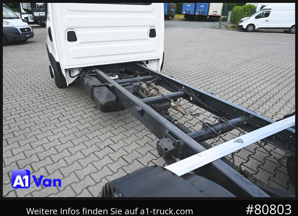 IVECO Daily 70C21 A8V/P Fahrgestell, Klima, Standheizung, - Xe tải khung gầm: hình 2 IVECO Daily 70C21 A8V/P Fahrgestell, Klima, Standheizung, - Xe tải khung gầm: hình 2
