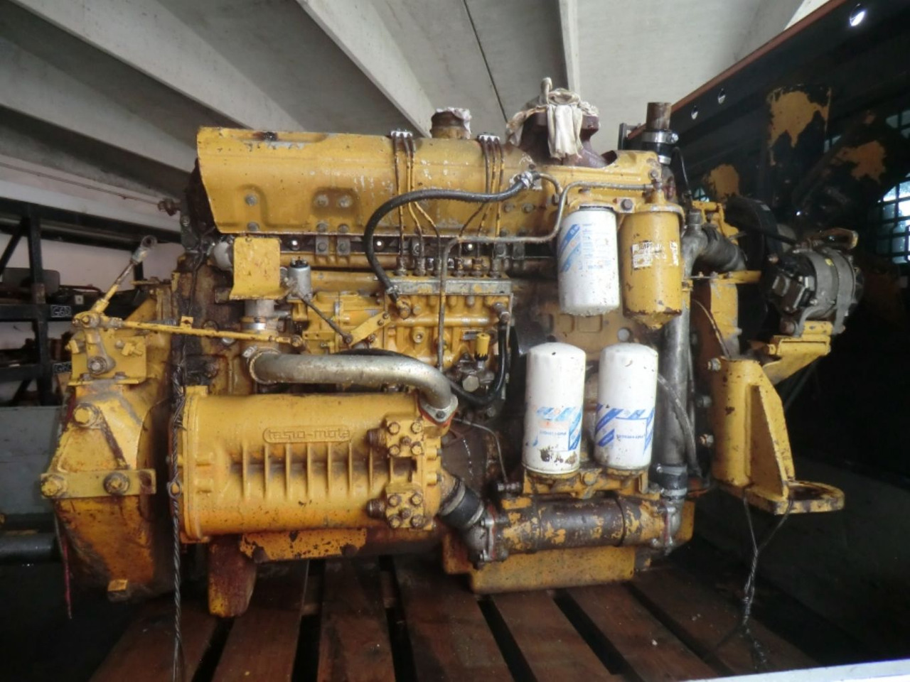 FIAT 8215-02 *542 Motore perfettamente funzionante completo di pompa nafta e iniettori revisionati. - Động cơ cho Máy móc xây dựng: hình 1 FIAT 8215-02 *542 Motore perfettamente funzionante completo di pompa nafta e iniettori revisionati. - Động cơ cho Máy móc xây dựng: hình 1