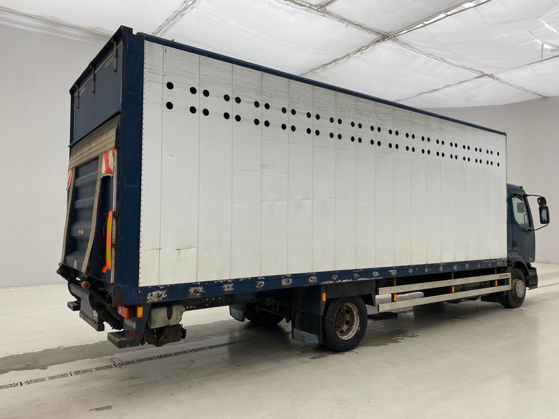 Renault Midlum 220 DCi - Xe tải hộp: hình 4 Renault Midlum 220 DCi - Xe tải hộp: hình 4