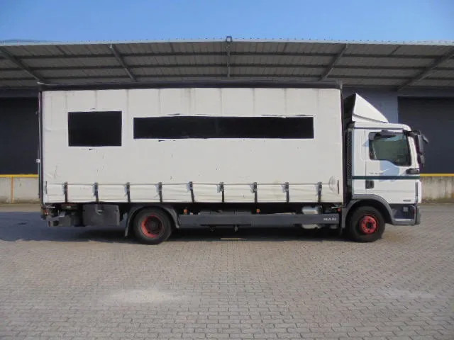 MAN TGL 10-180 NL TRUCK - Xe tải hộp: hình 4 MAN TGL 10-180 NL TRUCK - Xe tải hộp: hình 4