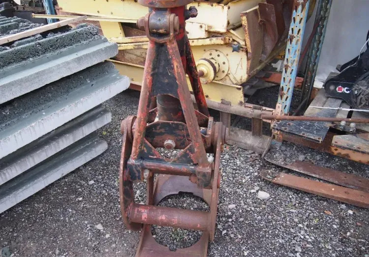 Chwytak do drewna - Nho táo: hình 2 Chwytak do drewna - Nho táo: hình 2