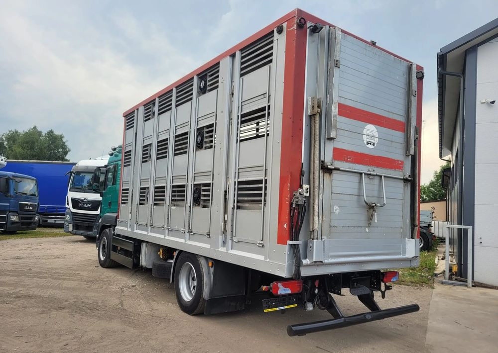 MAN TGS 18.400 Euro 6 do żywca - Xe tải chở gia súc: hình 3 MAN TGS 18.400 Euro 6 do żywca - Xe tải chở gia súc: hình 3