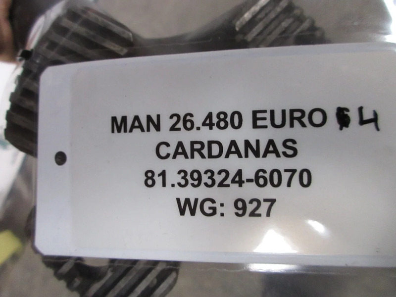 Bán trục cho Xe tải MAN 81.39325-6162 // 81.39324-6070 AANDRIJFAS MAN 26.540 6X6: hình 10