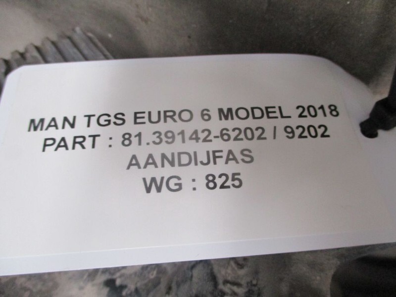 MAN TGS 81.39142-6202 / 9202 AANDRIJFAS EURO 6 MODEL 2019 - Bán trục cho Xe tải: hình 2 MAN TGS 81.39142-6202 / 9202 AANDRIJFAS EURO 6 MODEL 2019 - Bán trục cho Xe tải: hình 2