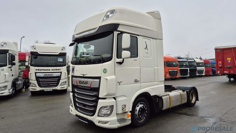 DAF XF 480 FT LOW DECK SSC EURO 6 - Xe đầu kéo: hình 2 DAF XF 480 FT LOW DECK SSC EURO 6 - Xe đầu kéo: hình 2