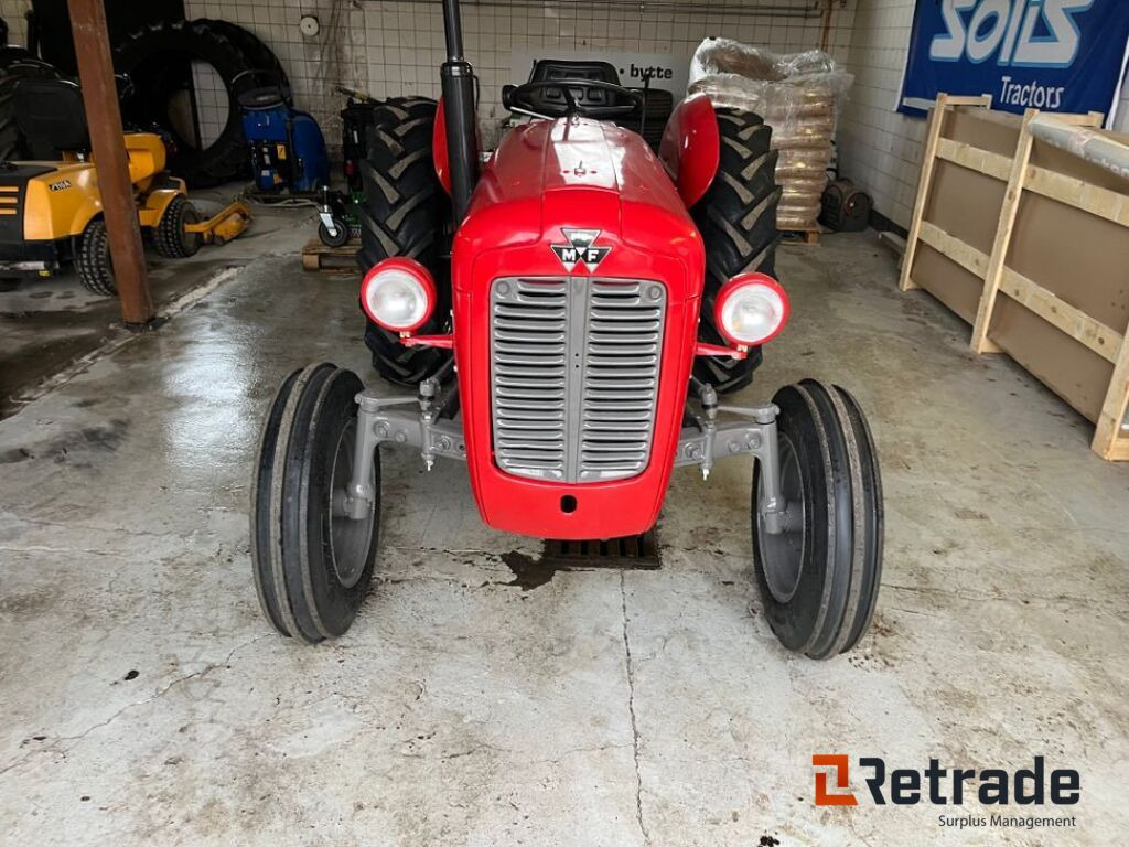 Oldtimer Massey Ferguson 35 / Oldtimer Massey Ferguson 35 - Máy cày: hình 2 Oldtimer Massey Ferguson 35 / Oldtimer Massey Ferguson 35 - Máy cày: hình 2