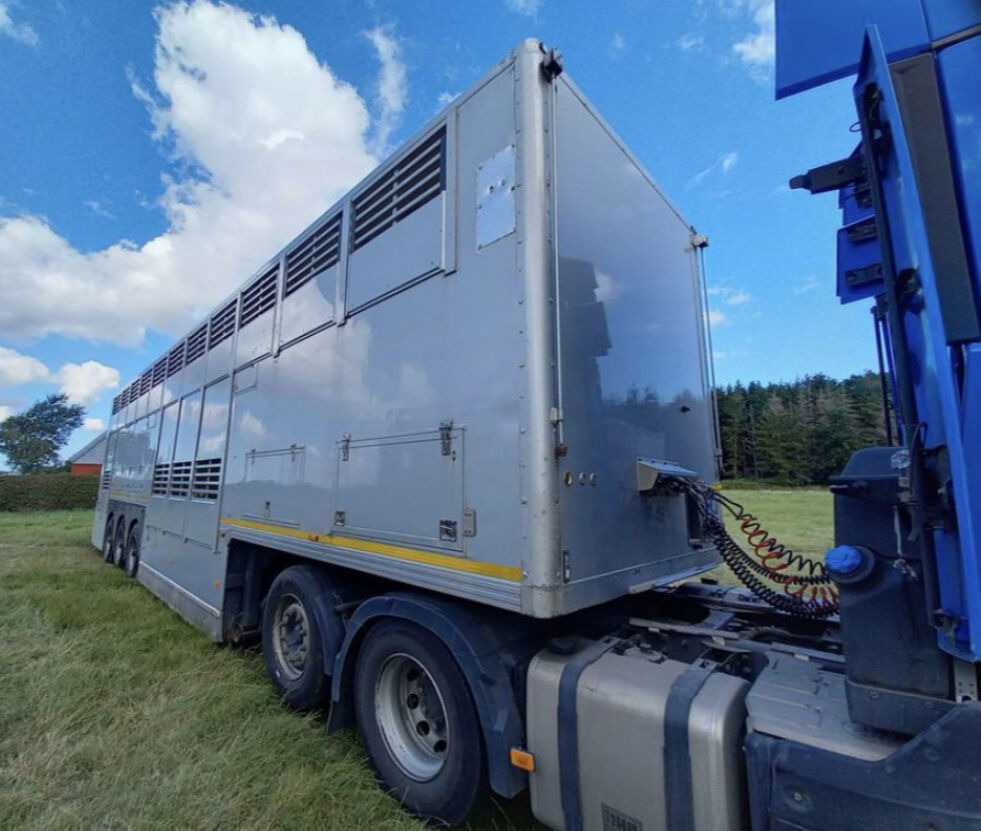 Gray and Adams Gadd3 / Works Great / Hydraulic / 2 Levels - Sơ mi rơ moóc chở gia súc: hình 4 Gray and Adams Gadd3 / Works Great / Hydraulic / 2 Levels - Sơ mi rơ moóc chở gia súc: hình 4