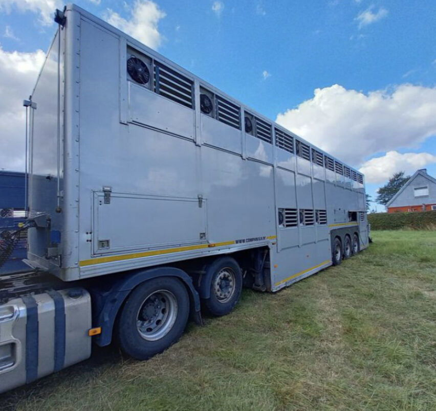 Gray and Adams Gadd3 / Works Great / Hydraulic / 2 Levels - Sơ mi rơ moóc chở gia súc: hình 5 Gray and Adams Gadd3 / Works Great / Hydraulic / 2 Levels - Sơ mi rơ moóc chở gia súc: hình 5