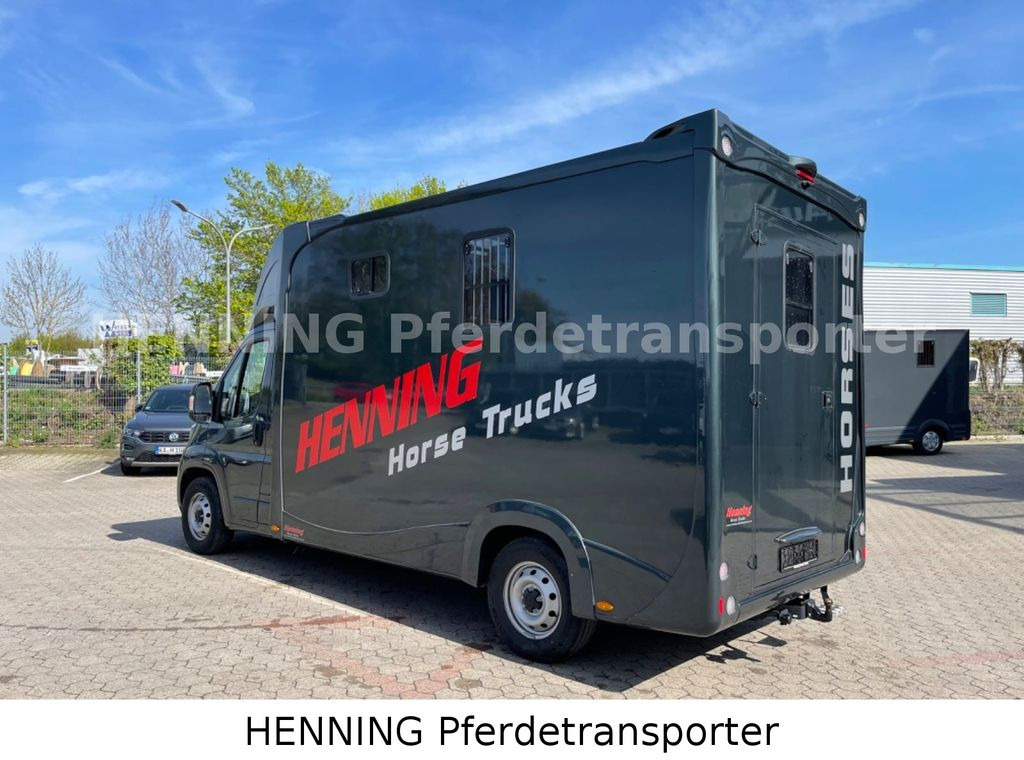 Xe tải chở ngựa mới Fiat Ducato 3 - Sitzer *VORFÜHRUNGSFAHRZEUG*: hình 17
