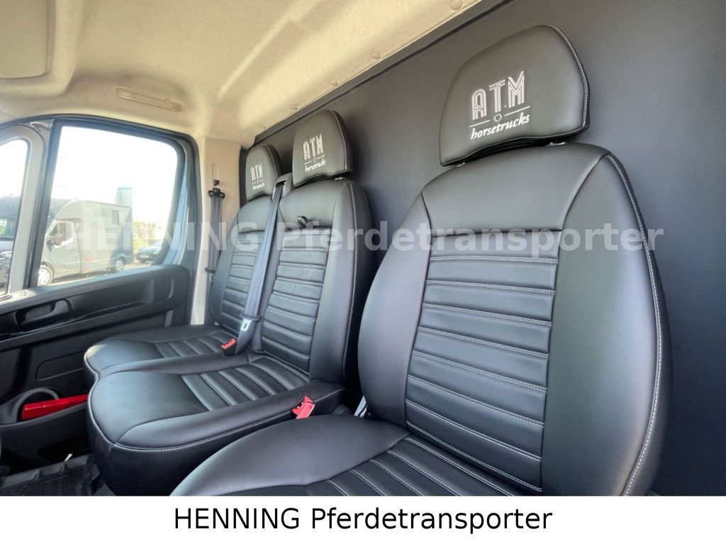 Xe tải chở ngựa mới Fiat Ducato 3 - Sitzer *VORFÜHRUNGSFAHRZEUG*: hình 20