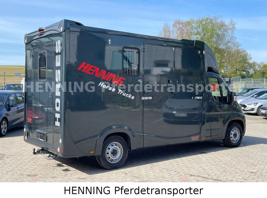 Fiat Ducato 3 - Sitzer *VORFÜHRUNGSFAHRZEUG* - Xe tải chở ngựa: hình 4 Fiat Ducato 3 - Sitzer *VORFÜHRUNGSFAHRZEUG* - Xe tải chở ngựa: hình 4
