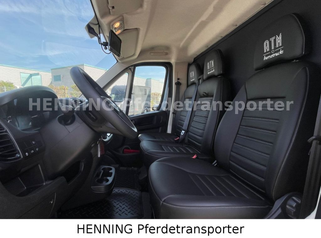 Xe tải chở ngựa mới Fiat Ducato 3 - Sitzer *VORFÜHRUNGSFAHRZEUG*: hình 19