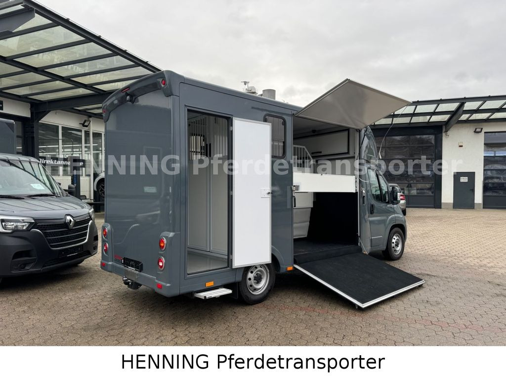 Fiat Ducato *NEUWAGEN* ca.1100 kg Nutzlast - Xe tải chở ngựa: hình 3 Fiat Ducato *NEUWAGEN* ca.1100 kg Nutzlast - Xe tải chở ngựa: hình 3