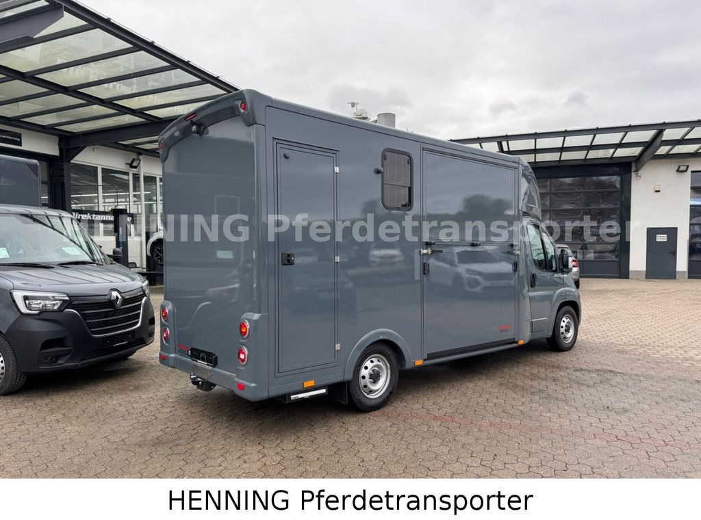 Fiat Ducato *NEUWAGEN* ca.1100 kg Nutzlast - Xe tải chở ngựa: hình 2 Fiat Ducato *NEUWAGEN* ca.1100 kg Nutzlast - Xe tải chở ngựa: hình 2