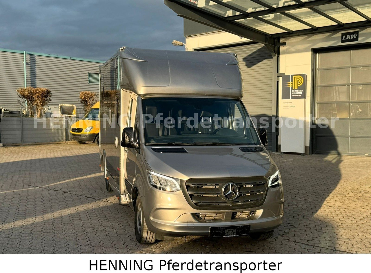 Mercedes-Benz Sprinter 3 - Sitzer - Xe tải chở gia súc: hình 2 Mercedes-Benz Sprinter 3 - Sitzer - Xe tải chở gia súc: hình 2