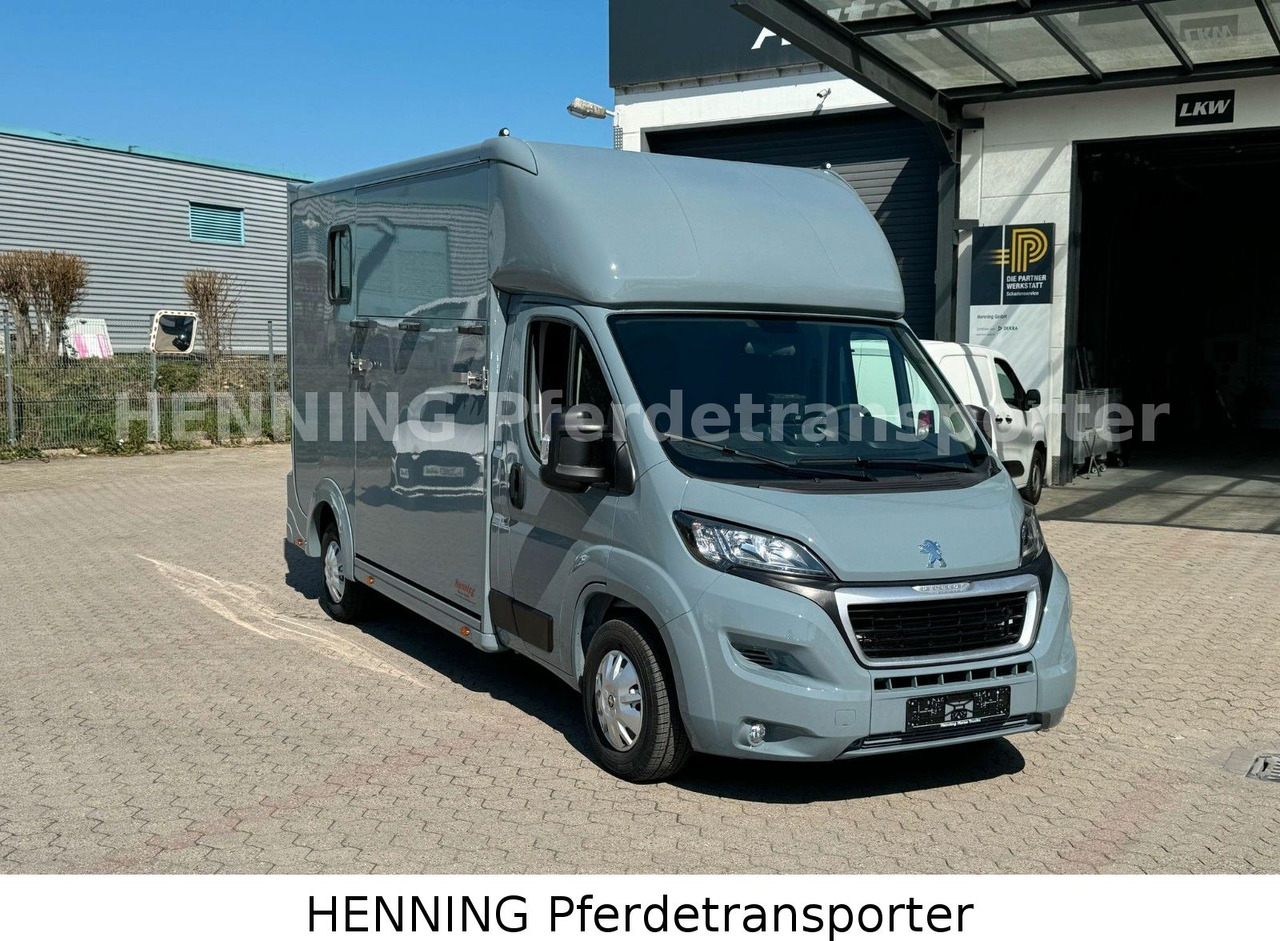 Peugeot Boxer 3-Sitzer *NEUWAGEN* 1000 KG NUTZLAST - Xe tải chở ngựa: hình 2 Peugeot Boxer 3-Sitzer *NEUWAGEN* 1000 KG NUTZLAST - Xe tải chở ngựa: hình 2