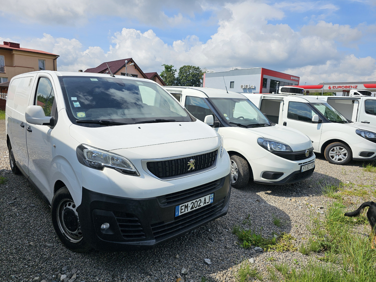 PEUGEOT Expert CHLODNIA THERMOKING KLIMA EURO6 - Xe van đông lạnh: hình 1 PEUGEOT Expert CHLODNIA THERMOKING KLIMA EURO6 - Xe van đông lạnh: hình 1