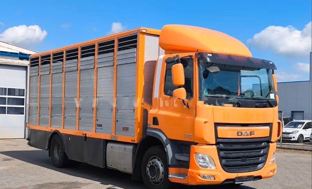 DAF CF 400 Menke Einstock | Transport zwierząt jednopoziomowy | 2 kratownice do bydła| Retarder | Euro 6 - Xe tải chở gia súc: hình 5 DAF CF 400 Menke Einstock | Transport zwierząt jednopoziomowy | 2 kratownice do bydła| Retarder | Euro 6 - Xe tải chở gia súc: hình 5