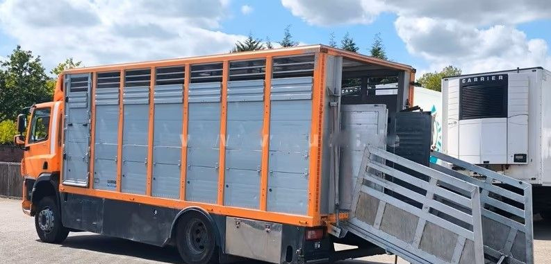 DAF CF 400 Menke Einstock | Transport zwierząt jednopoziomowy | 2 kratownice do bydła| Retarder | Euro 6 - Xe tải chở gia súc: hình 4 DAF CF 400 Menke Einstock | Transport zwierząt jednopoziomowy | 2 kratownice do bydła| Retarder | Euro 6 - Xe tải chở gia súc: hình 4