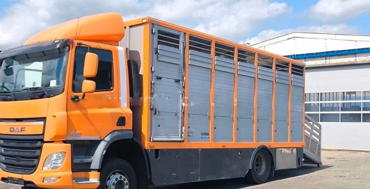 DAF CF 400 Menke Einstock | Transport zwierząt jednopoziomowy | 2 kratownice do bydła| Retarder | Euro 6 - Xe tải chở gia súc: hình 2 DAF CF 400 Menke Einstock | Transport zwierząt jednopoziomowy | 2 kratownice do bydła| Retarder | Euro 6 - Xe tải chở gia súc: hình 2