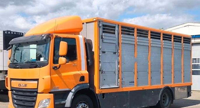 DAF CF 400 Menke Einstock | Transport zwierząt jednopoziomowy | 2 kratownice do bydła| Retarder | Euro 6 - Xe tải chở gia súc: hình 3 DAF CF 400 Menke Einstock | Transport zwierząt jednopoziomowy | 2 kratownice do bydła| Retarder | Euro 6 - Xe tải chở gia súc: hình 3