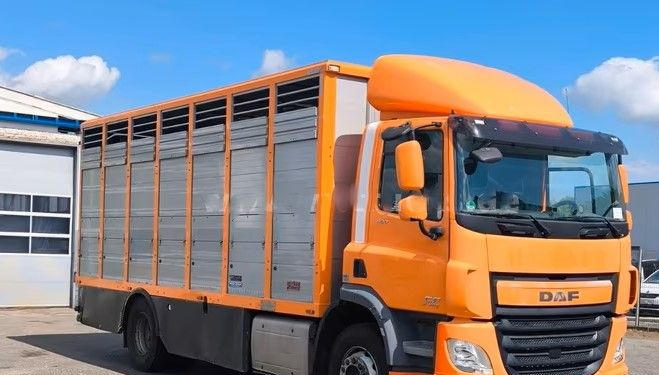 DAF CF 400 Menke Einstock | Transport zwierząt jednopoziomowy | 2 kratownice do bydła| Retarder | Euro 6 - Xe tải chở gia súc: hình 1 DAF CF 400 Menke Einstock | Transport zwierząt jednopoziomowy | 2 kratownice do bydła| Retarder | Euro 6 - Xe tải chở gia súc: hình 1