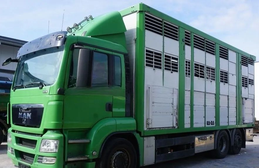 MAN TGS 26.440 ZABUDOWA KABA CAŁA ALUMINIOWA– samochód do transportu zwierząt/koni – 3 pokłady / EURO 5/6X2/PODNOSZONY DACH - Xe tải chở gia súc: hình 1 MAN TGS 26.440 ZABUDOWA KABA CAŁA ALUMINIOWA– samochód do transportu zwierząt/koni – 3 pokłady / EURO 5/6X2/PODNOSZONY DACH - Xe tải chở gia súc: hình 1
