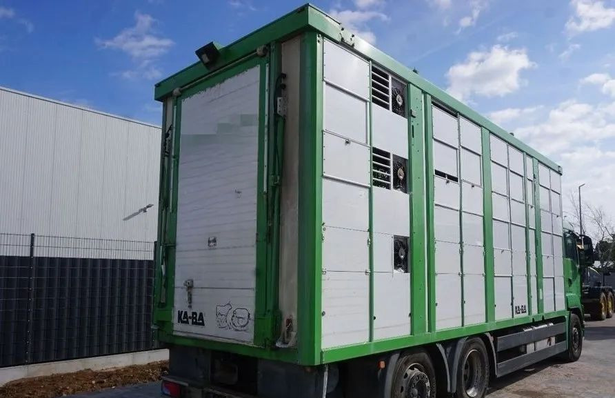 MAN TGS 26.440 ZABUDOWA KABA CAŁA ALUMINIOWA– samochód do transportu zwierząt/koni – 3 pokłady / EURO 5/6X2/PODNOSZONY DACH - Xe tải chở gia súc: hình 2 MAN TGS 26.440 ZABUDOWA KABA CAŁA ALUMINIOWA– samochód do transportu zwierząt/koni – 3 pokłady / EURO 5/6X2/PODNOSZONY DACH - Xe tải chở gia súc: hình 2