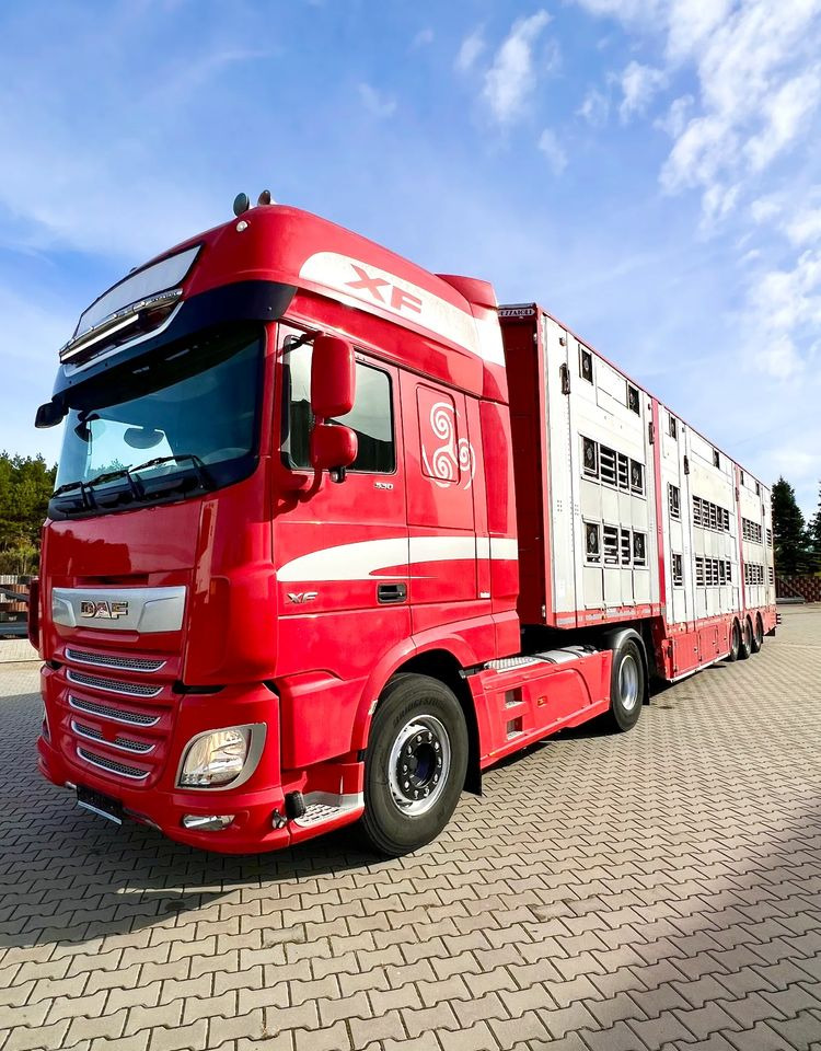 Pezzaioli NACZEPA 2017 / 3 POZIOMY / TRANSPORT ZWIERZĄT / HYDRAULIKA / STEROWANIE PILOTEM/ PODNOSZONY DACH / - Sơ mi rơ moóc chở gia súc: hình 5 Pezzaioli NACZEPA 2017 / 3 POZIOMY / TRANSPORT ZWIERZĄT / HYDRAULIKA / STEROWANIE PILOTEM/ PODNOSZONY DACH / - Sơ mi rơ moóc chở gia súc: hình 5