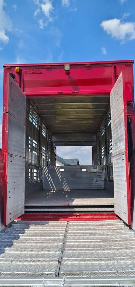 Rơ moóc chở gia súc Pezzaioli RBA 32/TRZYOSIOWA PRZYCZEPA-2XBYDŁO,3X TRZODA/HYDRAULICZNIE PODNOSZONY DACH I PODŁOGI / OŚ ŚRODKOWA PODNOSZONA: hình 16