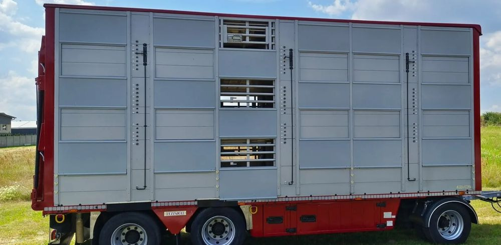 Rơ moóc chở gia súc Pezzaioli RBA 32/TRZYOSIOWA PRZYCZEPA-2XBYDŁO,3X TRZODA/HYDRAULICZNIE PODNOSZONY DACH I PODŁOGI / OŚ ŚRODKOWA PODNOSZONA: hình 6